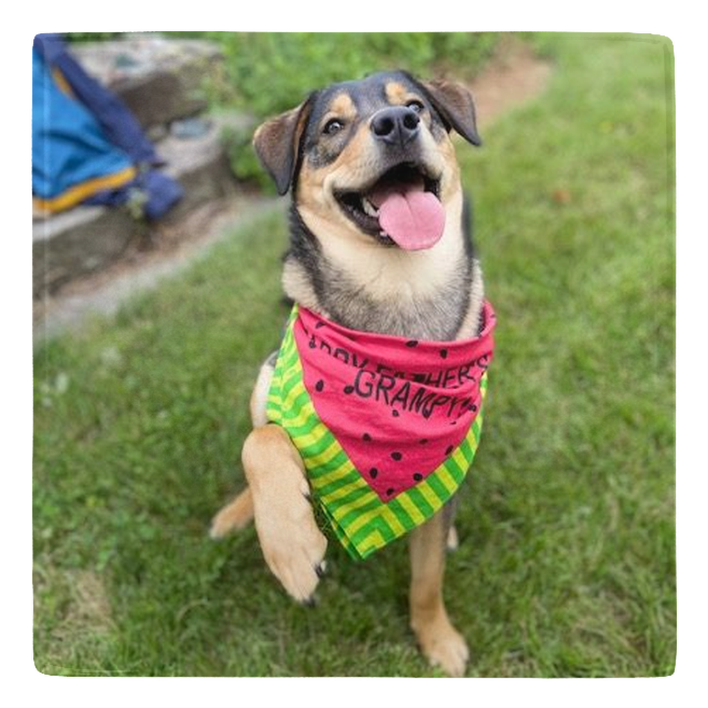 MetalMagnet_2x2_2Pack-20251110181136473